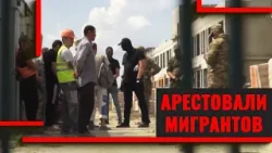 Мигранты на стройке. Сколько работало незаконно?