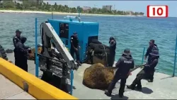 REFUERZAN ESTRATEGIA CONTRA SARGAZO en las costas de Puerto Morelos