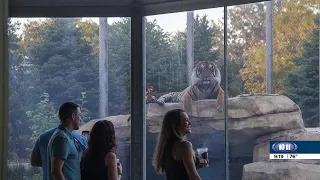 Brews at the Zoo at the Lincoln Children's Zoo
