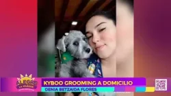 AMIGOS DE LA NATURALEZA: Kiboo grooming AMIGOS DE LA NATURALEZA: Kiboo grooming