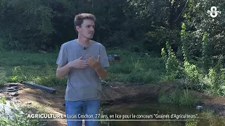 News Report for Tuesday, August 25, 2026