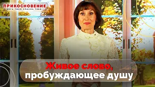 PRK000003