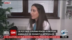 Coșmarul nopții de Revelion pentru animalele de companie
