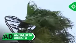 Andalucía Directo | Miércoles 28 de enero