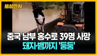 중국 남부 홍수로 39명 사망…돼지·뱀까지 '둥둥' [세상만사] #중국남부 #홍수 #뱀 #돼지 #홍수피해