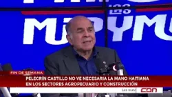 Pelegrín Castillo no ve necesaria la mano haitiana en los sectores agropecuario y construcción