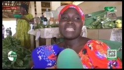 ADAMAOUA: Rural Women’s Uphill Battle with Impassable Roads