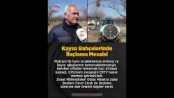 Kayısı Bahçelerinde İlaçlama Mesaisi