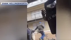 На видеозаписи видно, как федеральный офицер пинает и ранит собаку.