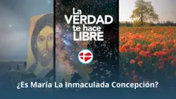 La Verdad Te Hace Libre - ¿ Es María La Inmaculada Concepción ? La Verdad Te Hace Libre - ¿ Es María La Inmaculada Concepción ?