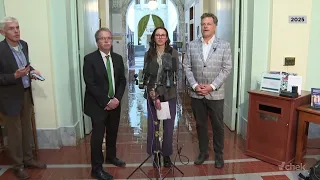 BC Greens vow to fight for balance of power after early election call