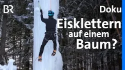 Eisklettern auf einem Baum | Bergmenschen | Doku | BR | Berge | Challenge Eisklettern auf einem Baum | Bergmenschen | Doku | BR | Berge | Challenge