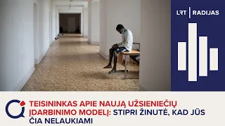 Teisininkas apie naują užsieniečių įdarbinimo modelį: stipri žinutė, kad jūs čia nelaukiami
