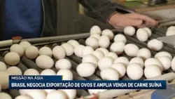 Brasil negocia com a Coreia do Sul exportação de ovos e ampliação de vendas de carne suína