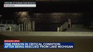 Person in critical condition after being pulled from water downtown, Chicago fire officials say