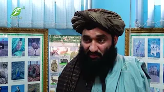 د امارتي شرکتونو پرمټ پنځه لکو کسانو ته کاري فرصتونه برابر شوي