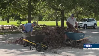 Nebraska Extension Master Gardner Volunteer program celebrates 50 years