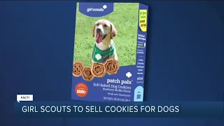 Fact or Fiction: Girl Scouts to sell cookies for dogs?