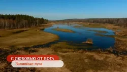 Заливные луга | С любовью от Бога