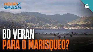 BO VERÁN para o MARISQUEO? | HORA GALEGA