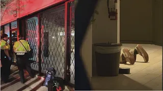 Vancouver Police break into gallery to 'rescue' sculpture