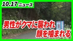 "Attacked by a bear while working": Man in his 60s suffers bleeding from bites to face, arms, and...
