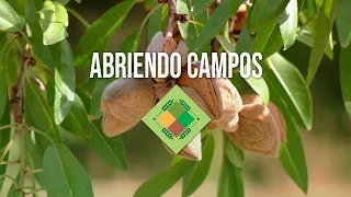 Abriendo Campos - 27 de agosto de 2026 - 1ª Parte