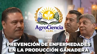 Agrociencia UANL | Prevencion de enfermedades que afectan la produccion en la ganaderia. 🐂🦠