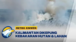 Metro Xinwen - Kalimantan Dikepung Kebakaran Hutan & Lahan