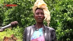 KAMEME_270326_PKG_COFFEE REFORMS OUTCRY-KIARIE KAMEME_270326_PKG_COFFEE REFORMS OUTCRY-KIARIE