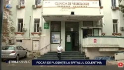 Kanal D News - Bed bug infestation at Colentina Hospital! | Evening Edition