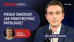 Kary za znęcanie się nad zwierzętami. Prawnik ujawnia patologie systemu | PORTALCAST