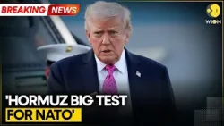 Iran War: Trump Hosts Irish PM; Says Don't Need Help in Strait of Hormuz | WION BREAKING