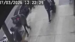 Exclusive video shows the moment accused NYC bombers arrive in Manhattan