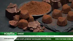 КАКАО: Производителите в Кот д'Ивоар заплашват със стачка