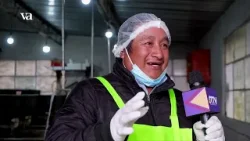 Veracruz Agropecuario - Producción de Alevines de Trucha Veracruz Agropecuario - Producción de Alevines de Trucha