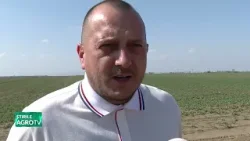 “Este un dezastru, dar mereu sperăm la ceva mai bun!” 07 04 2026