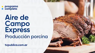 Pork consumption has tripled in the last 20 years - Aire De Campo Express