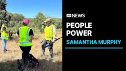 Dozens of volunteers scour bushland for missing mum Samantha Murphy | ABC News
