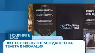 Граждани се затварят в клетки в протест срещу отглеждането на телета в изолация | 23 септ. 2026