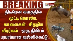 திடீரென களத்தில் முட்டி கொண்ட காளைகள்.. சிதறிய வீரர்கள்.. ஒரு நிமிடம் பரபரப்பான ஜல்லிக்கட்டு..