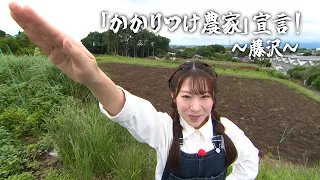 『「かかりつけ農家」宣言！～藤沢～』かながわ旬菜ナビ 2026/6/21放送