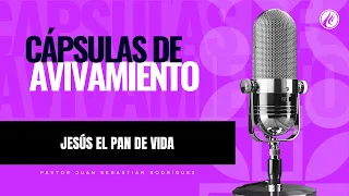 Jesus the Bread of Life | Revival Capsules | Christian Podcast | Call to Salvation