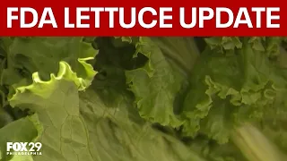Cyclospora outbreak changes eating habits in Philly after FDA lettuce update