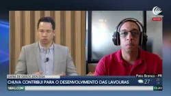 Clima favorece a safra brasileira dos grãos