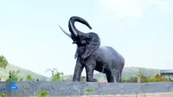 بوصلة العالم نحو #إثيوبيا_السياحة تستعيد بريقها من جديد في عهد التغيير يقيادة د