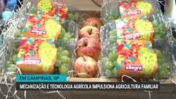 Mecanização e tecnologia agrícola impulsiona agricultura familiar