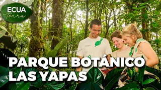 Ecuaterra🌱 Pastaza: Soil restoration project at Los Yapas Botanical Park | Ecuavisa