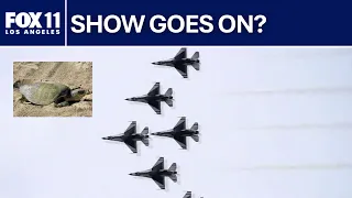 Rare turtle nests in Huntington Beach spark debate over whether Pacific Airshow should be postponed