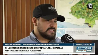 Ecological disaster! Over 1,000 hectares consumed by fires in the region